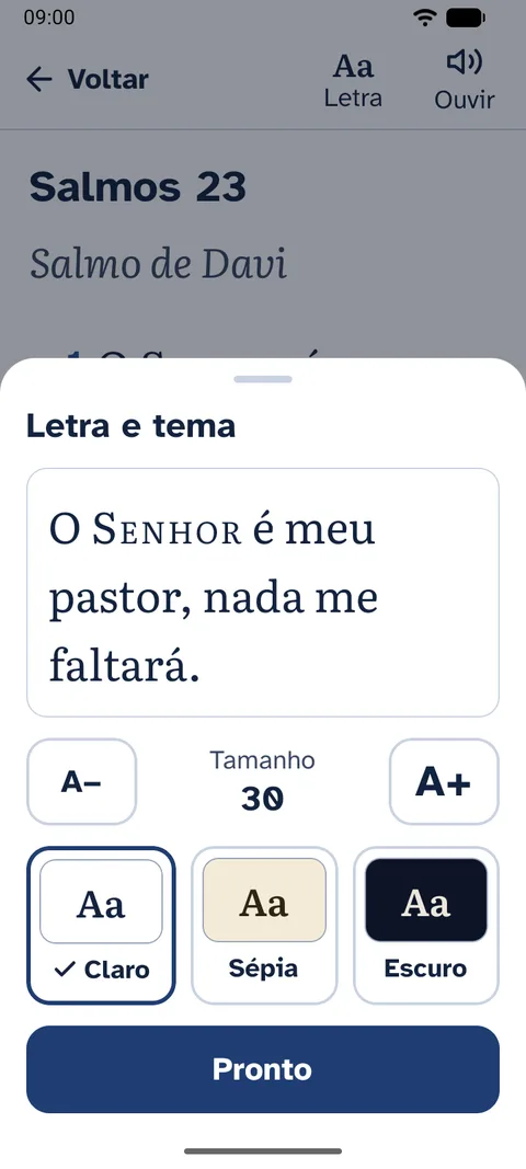 Painel Letra e tema, com a letra no tamanho 30 e as aparências Claro, Sépia e Escuro.