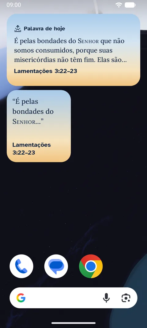 Os dois widgets da palavra do dia na tela inicial do celular.